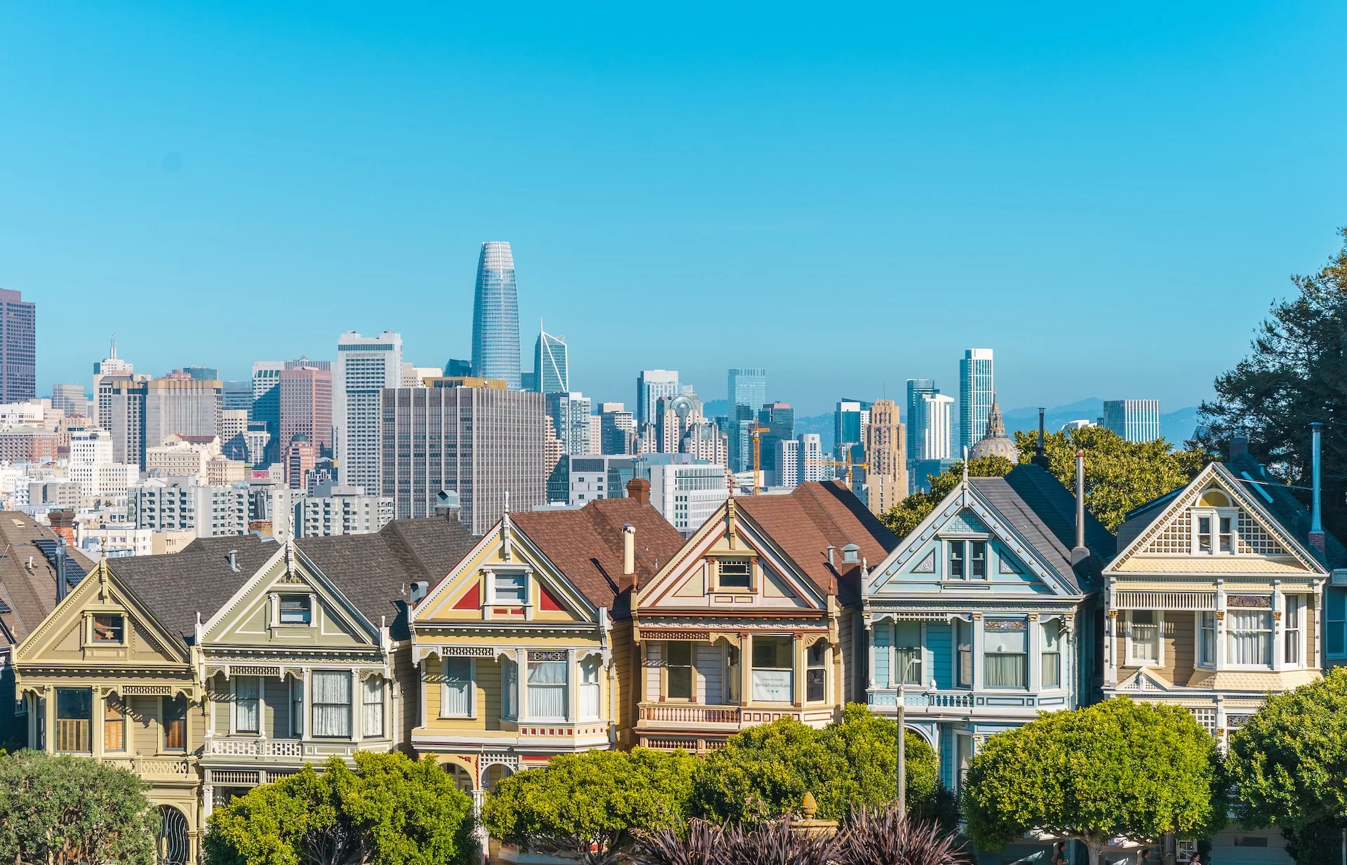 Alamo Square area photo